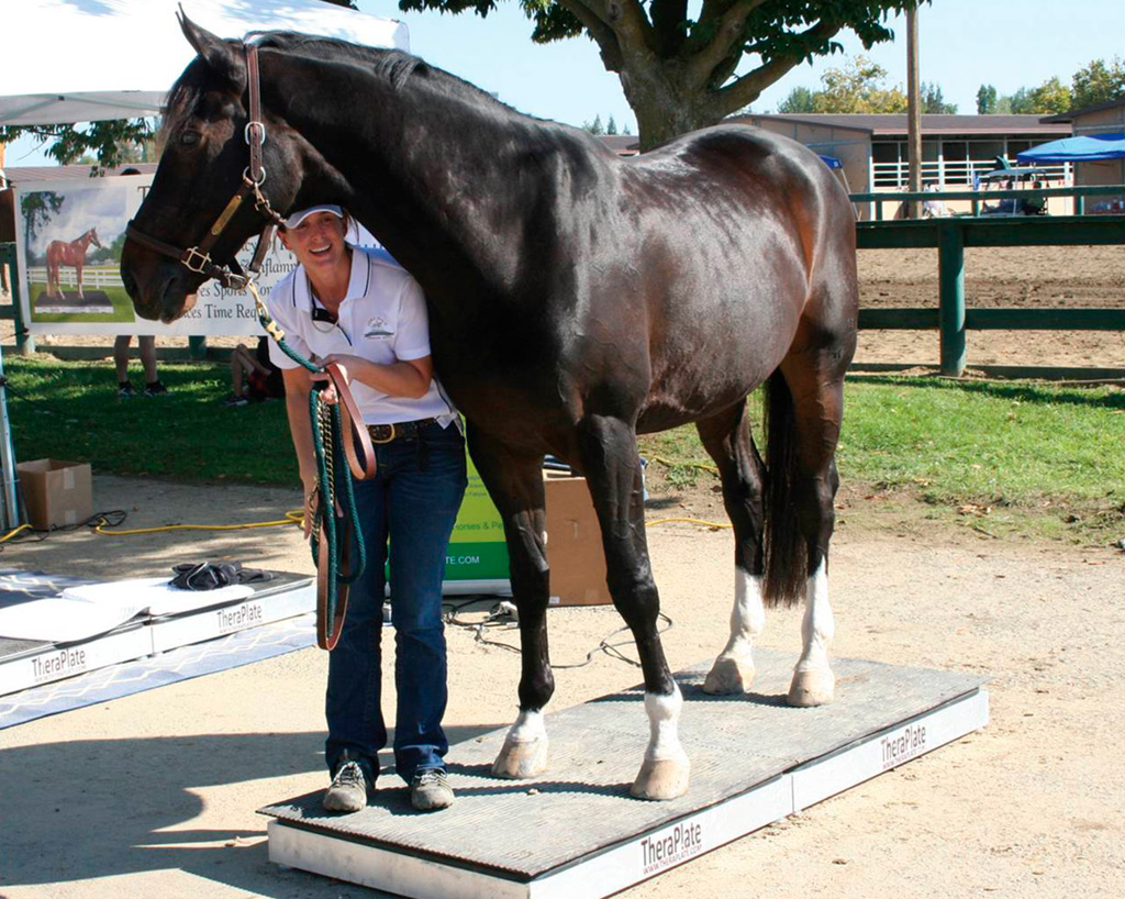 Theraplate with Horse and Handler